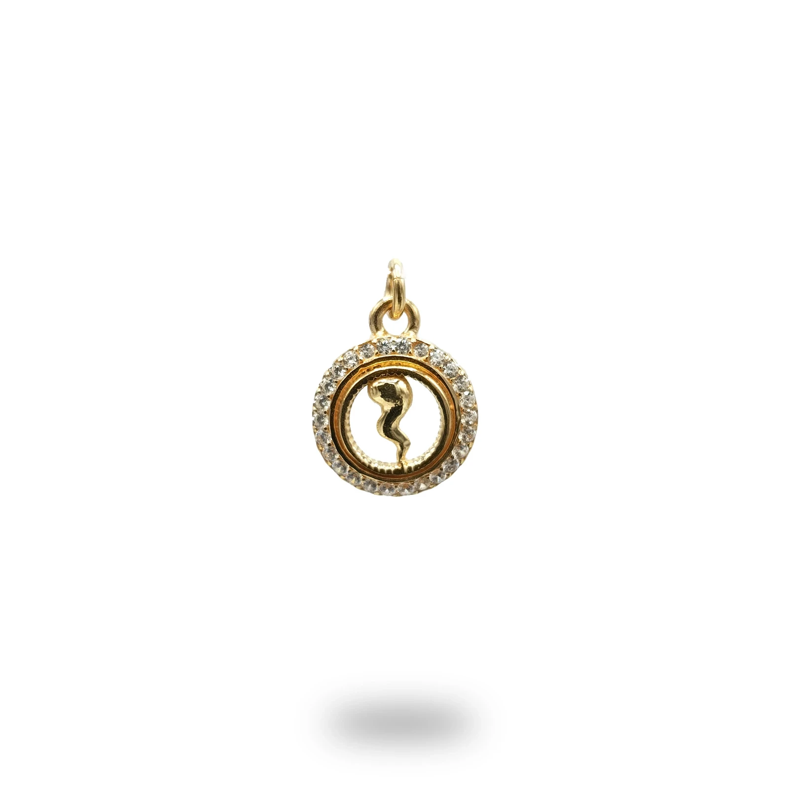 Pendente cerchio con corno in argento 925 dorato impreziosito da zirconi, realizzato artigianalmente.